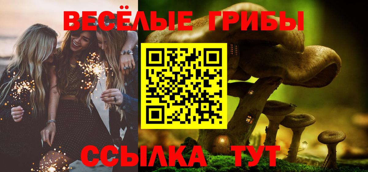 Осинники  Галлюциногенные грибы GOLDEN TEACHER  Вход с VPN 